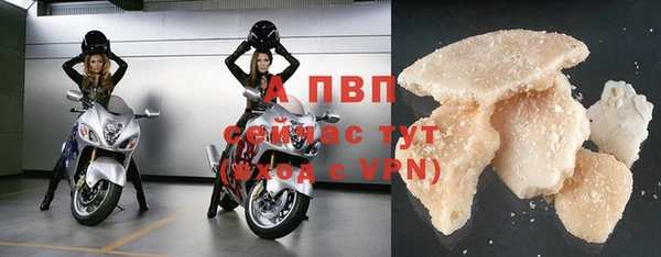 ПСИЛОЦИБИНОВЫЕ ГРИБЫ Дмитров
