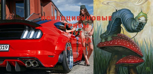 ПСИЛОЦИБИНОВЫЕ ГРИБЫ Дмитров