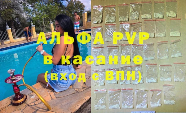 стаф Гусиноозёрск