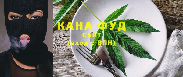 молекула духа Гусь-Хрустальный