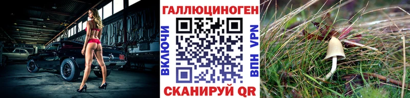закладка  Иланский  Галлюциногенные грибы ЛСД 