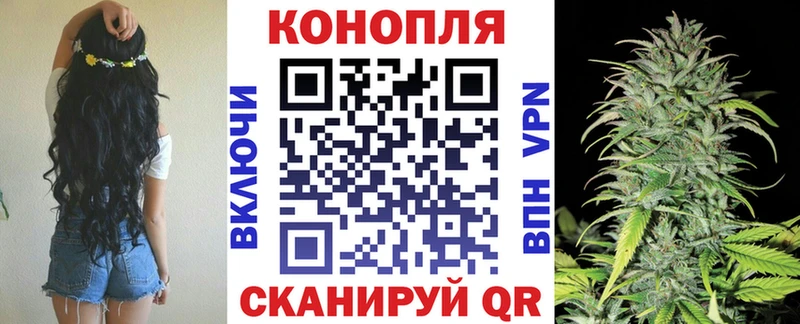 площадка формула  Иланский  Шишки марихуана тримм  ссылка на мегу рабочий сайт 